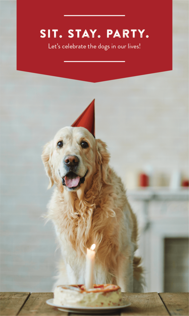 Sit. Stay. Party. Let's celebrate the dogs in our lives! 